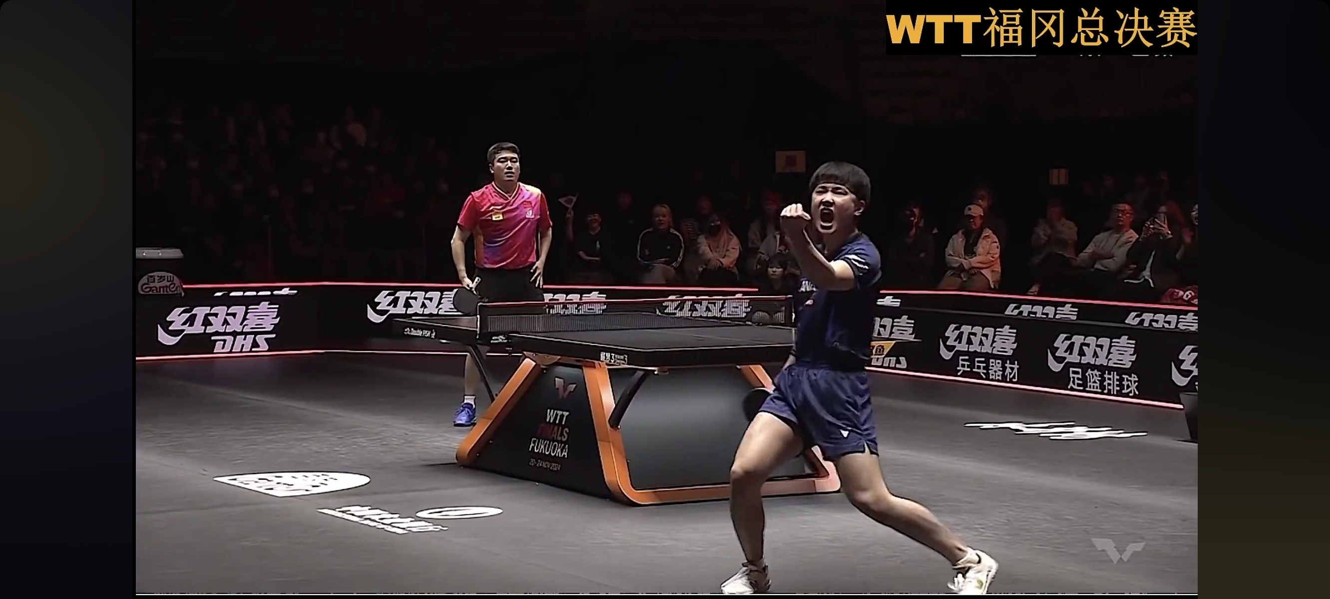 奥地利队鏖战法国队,张本智和统治全场 奥地利队鏖战法国队,张本智和统治全场