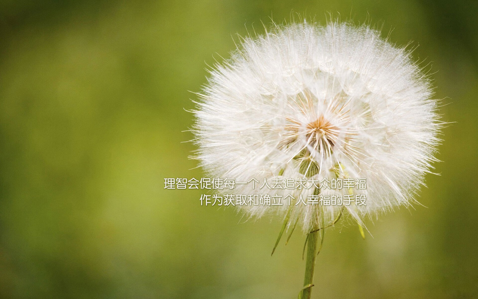 奥林匹斯山的回响,当福登以潘神之姿,在沙漠中复活希腊神话