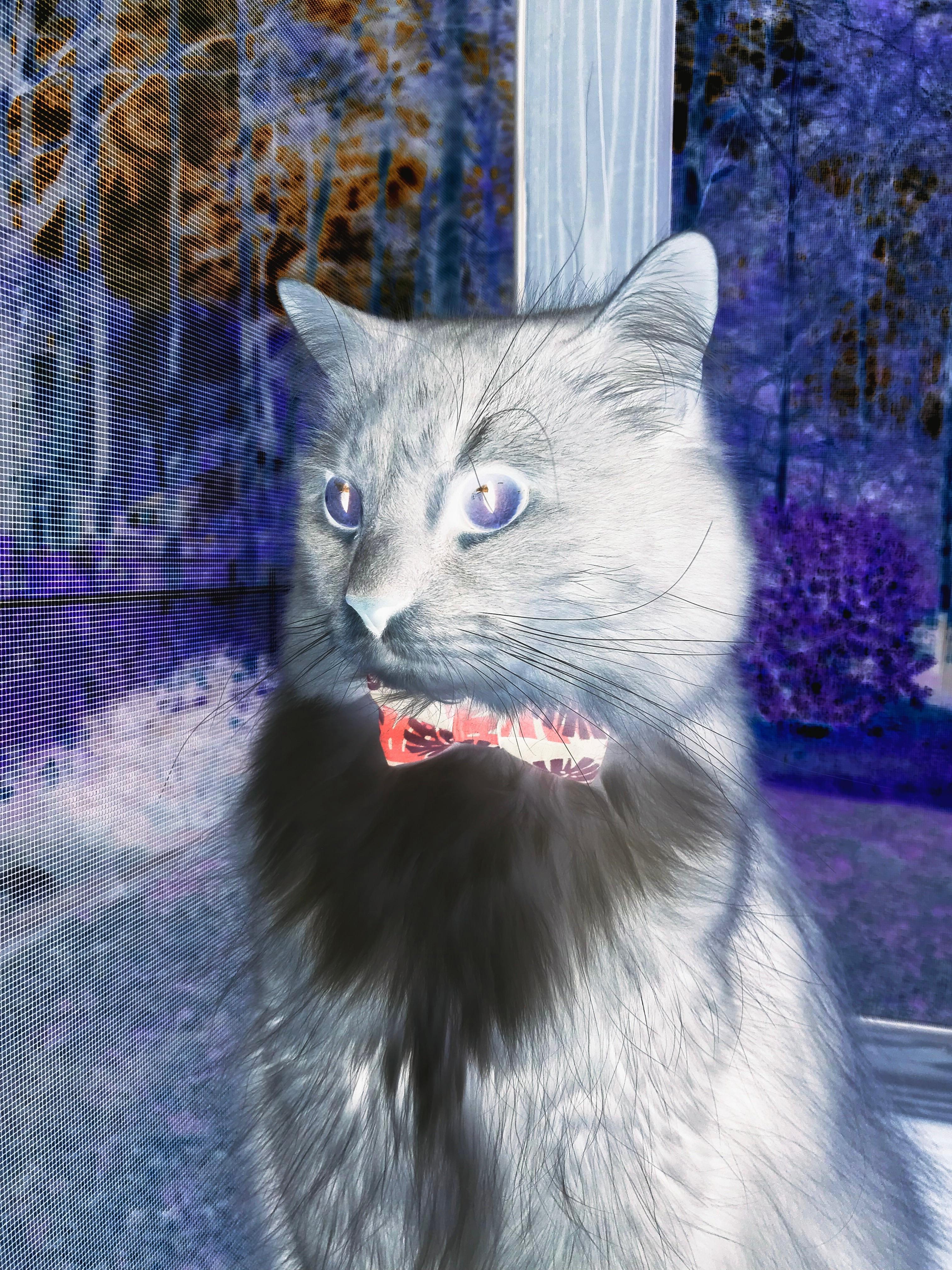 加时鏖战,公牛崛起,克莱式领袖扛起全队击败火箭