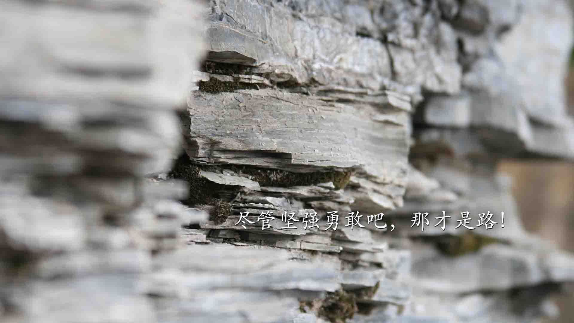 德甲争冠战之夜，钢索上的舞蹈与范弗利特时刻