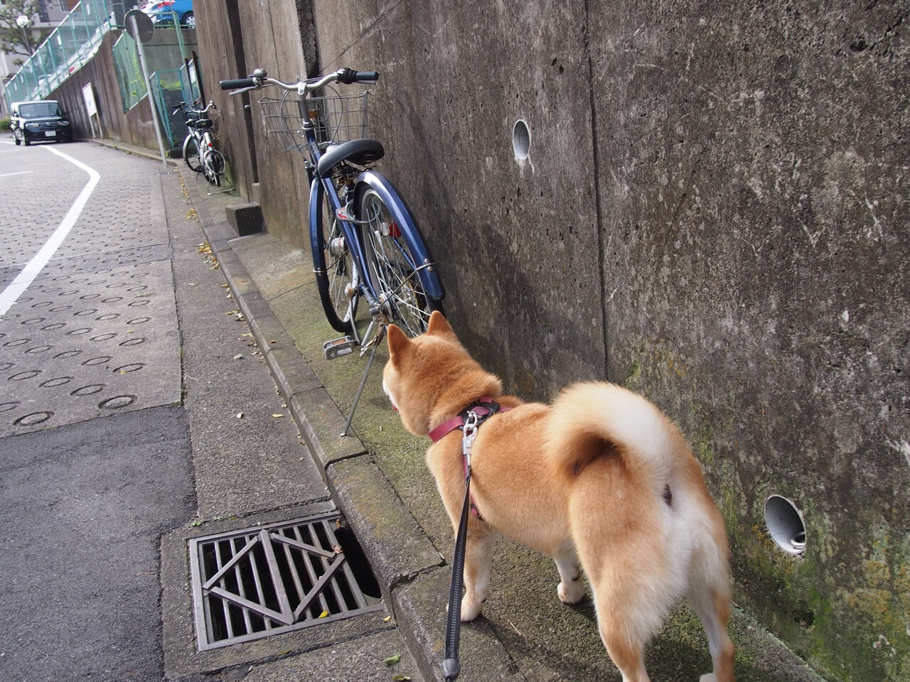 当红龙掠过维斯瓦,一场60秒的闪电战与一个德国人的叛逃救赎
