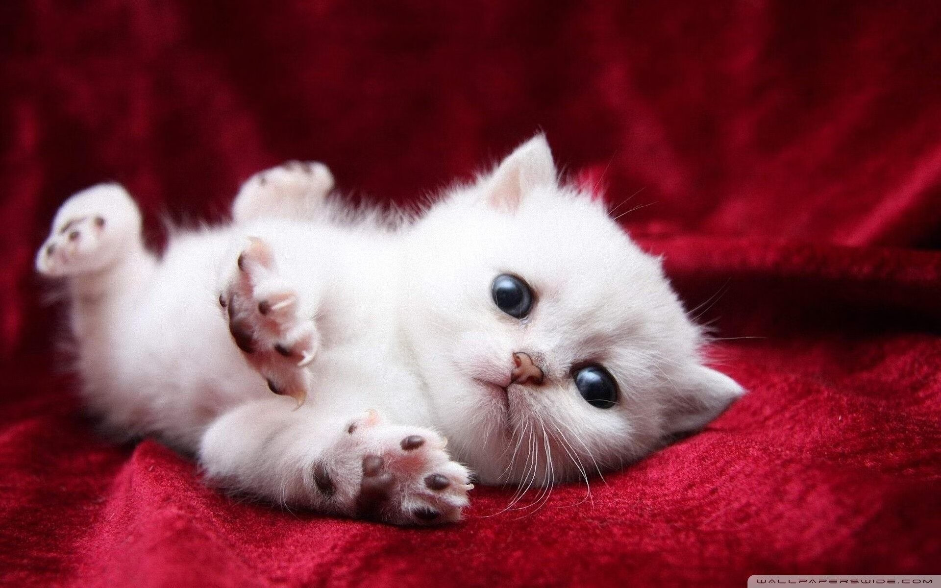 双面神的对决，国家德比与命运翻盘的足球启示录