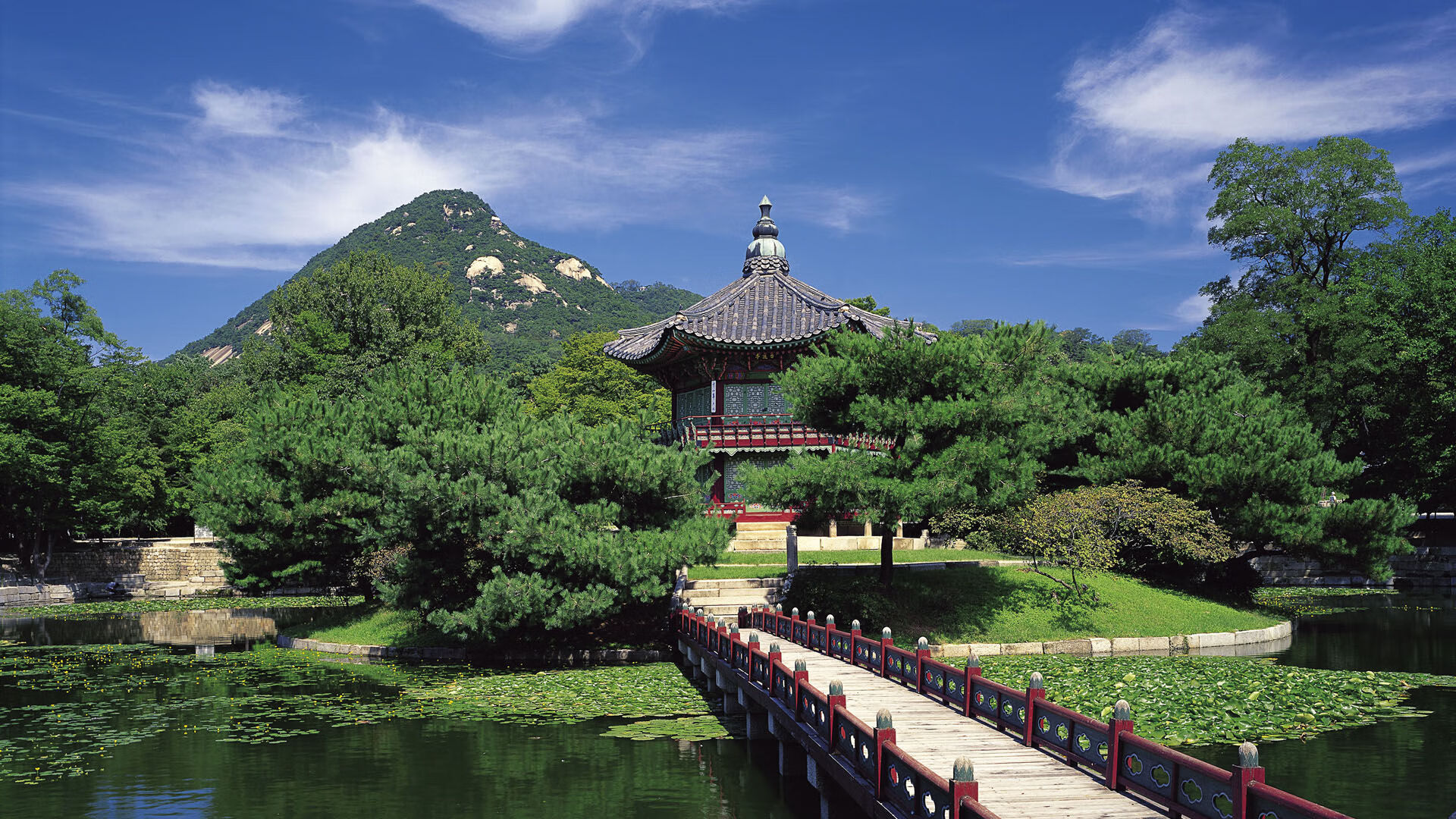 绿茵神谕，当萨拉赫的魔法笼罩哥伦比亚与喀麦隆之战