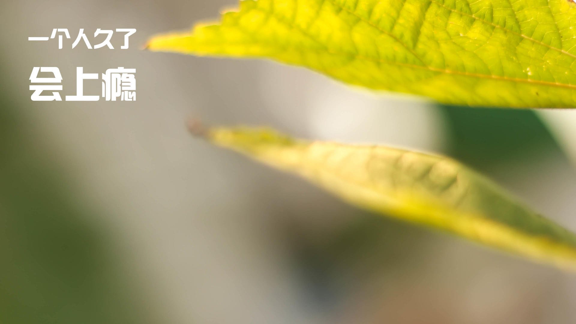 跨界奇迹,山西队客场粉碎雄鹿,克莱·汤普森F1揭幕战上演速度与激情接管比赛