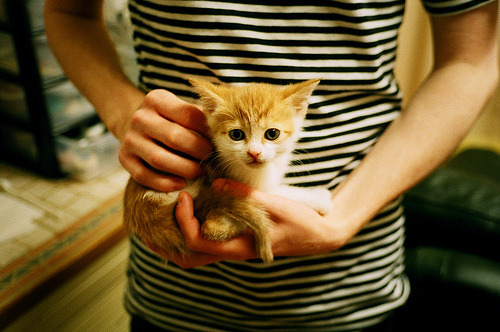 纪录夜与天赋的对决，魔术加时逆转国王，两个时代的碰撞