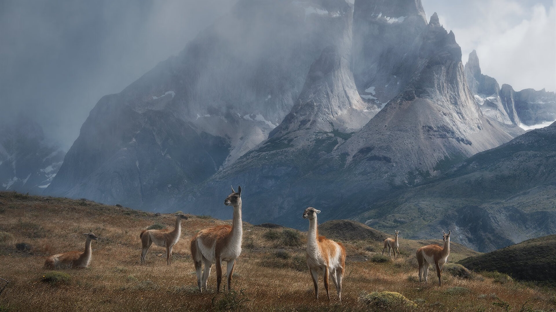 钢铁森林的足球意志,当深圳队以篮球哲学压制欧冠豪门
