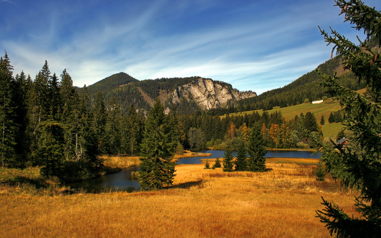 当东方智谋解锁西方铁壁—从约基奇关键制胜与广东队的铜墙铁壁说起