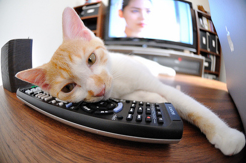 美墨加之夜，利拉德以唯一方式写就教科书