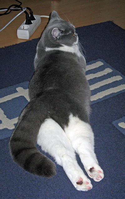 绿茵与硬木的交错,当黄喜灿的名字响彻NBA总决赛之夜