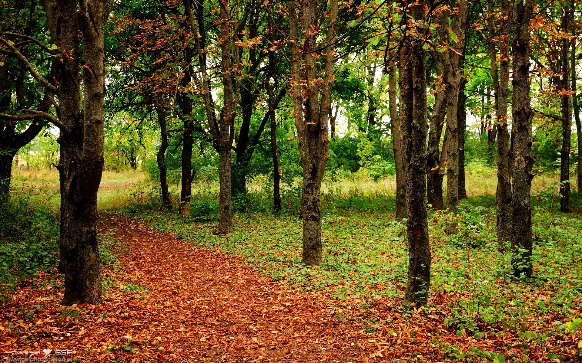 当东方魔力撕裂西方篮网,上海男篮速胜快船背后,塔图姆数据核爆之谜