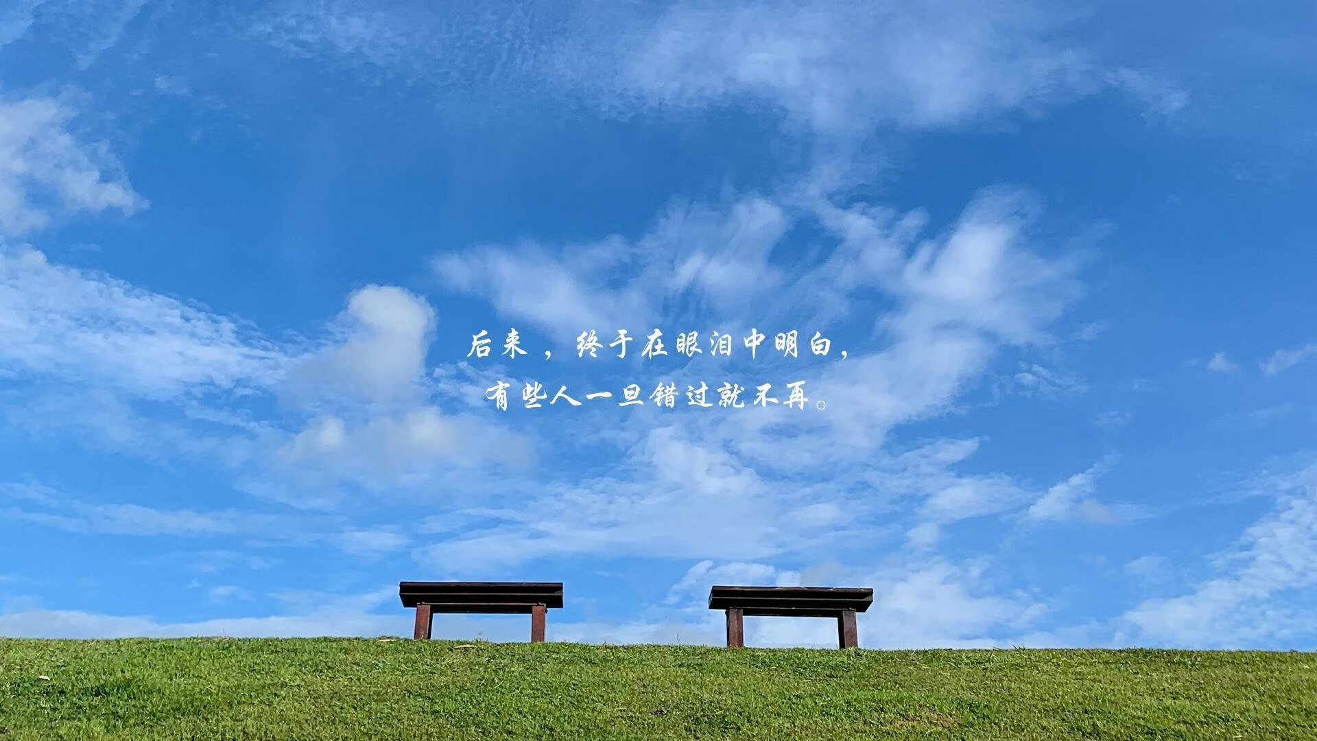冰与火之歌，格列兹曼的致命直塞与门神封神夜—2026世界杯G组，奥地利如何用唯一的答案击碎北欧神话