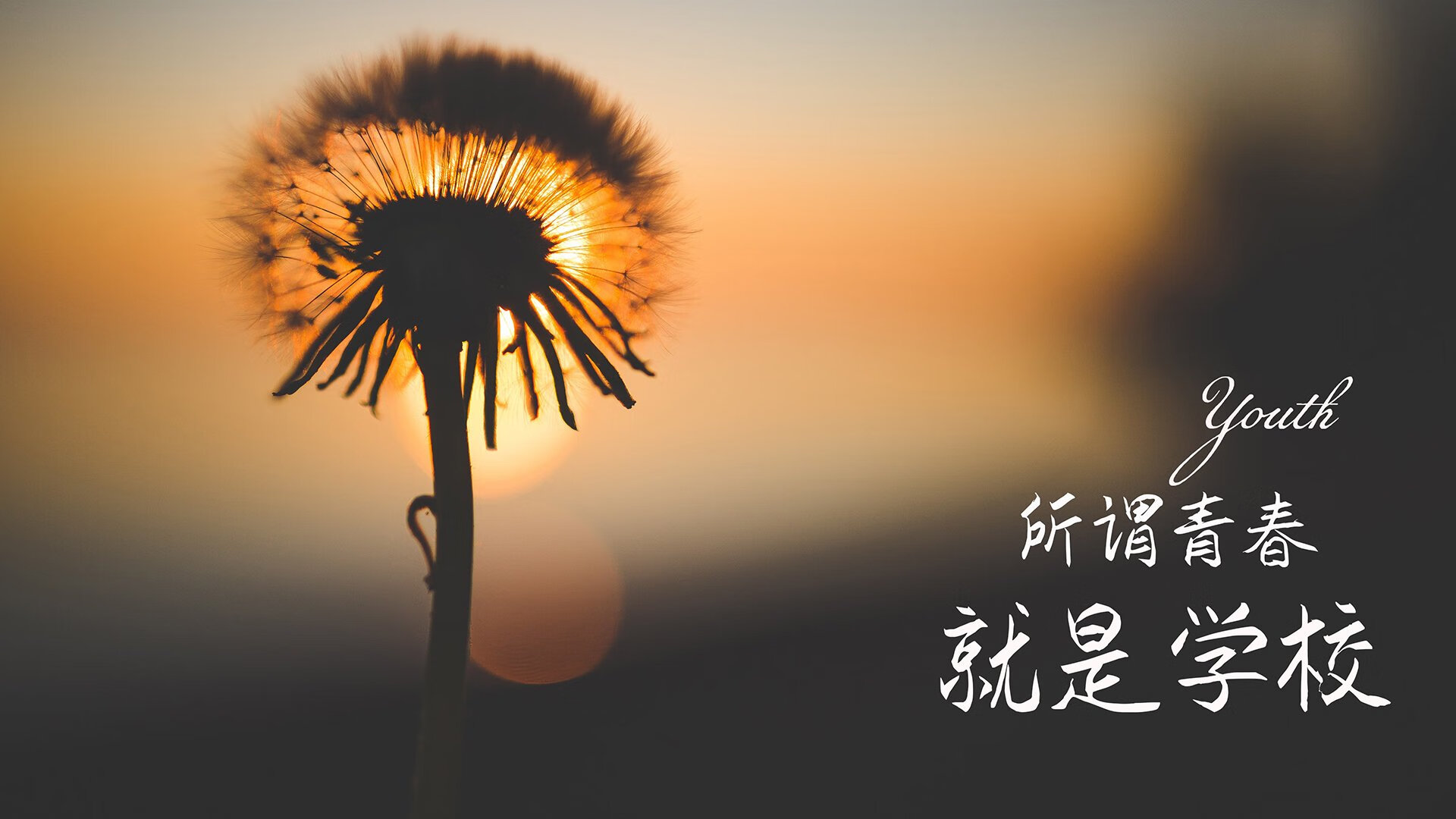 死亡A组的双面图腾，范戴克铸起钢铁长城，伊朗波斯铁骑绝地求生